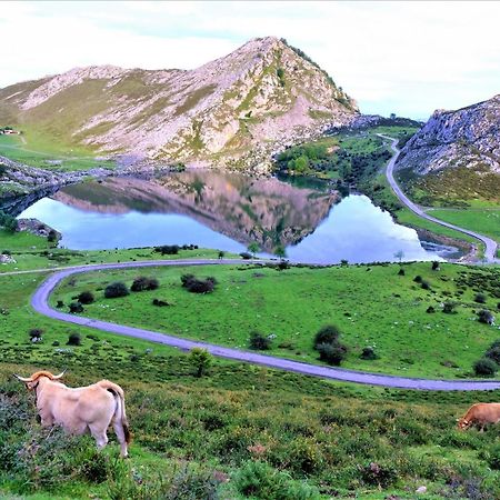Casa Vacacional Gerpe II Villa Navés Dış mekan fotoğraf